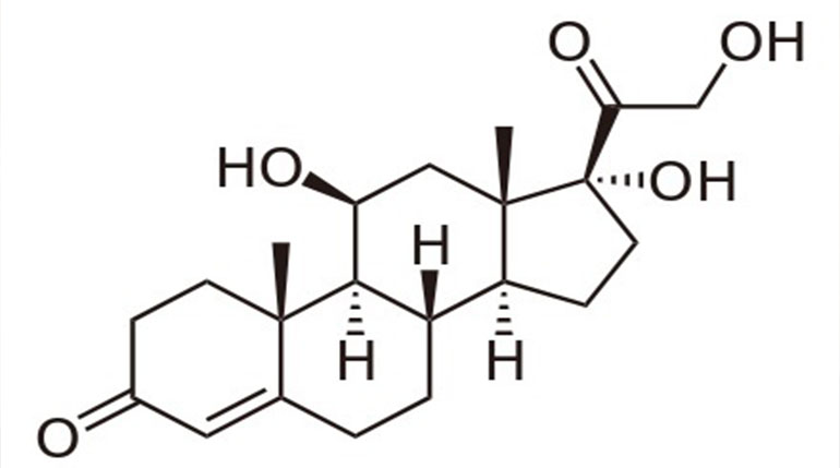 kortyzol hormon stresu