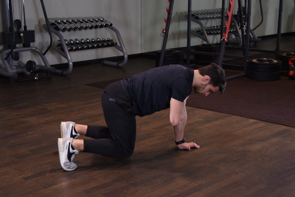 Bear plank z dotknięciem barku