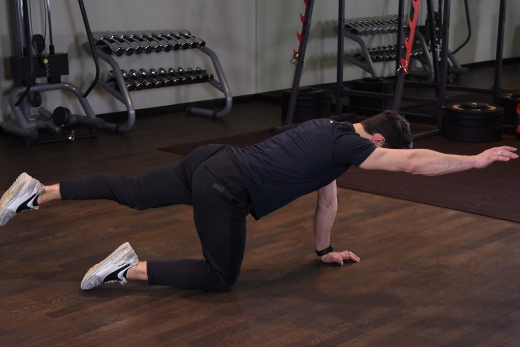 Birddog - Naprzemienne unoszenie nogi i ramienia w klęku podpartym