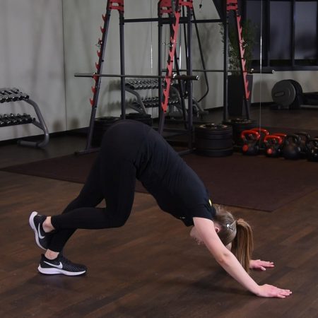 Pies z głową w dół ze skrzyżowaniem nóg - just be fit