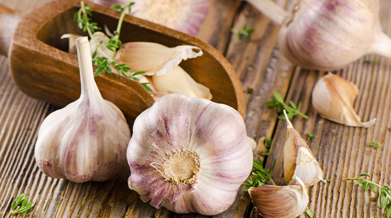 przeziębienie czosnek